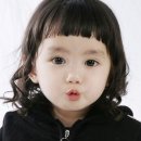 박사랑 카카오 검색결과