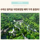 동막골 쉼 | 수락산 동막골 자연휴양림 예약 가격 총정리!