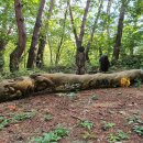 원주굽이길 15코스 싸리치옛길 이미지