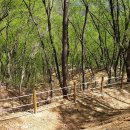 원주굽이길 16코스 황둔쌀찐빵길 이미지