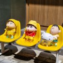 마로니에치과의원 이미지