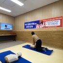 평창교육도서관 티스토리