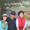 U-소백산 Daum카페