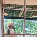 유나목장 이미지