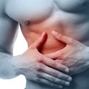 비볼코리아 이미지