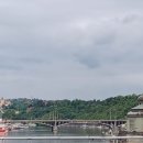 비바리호프 이미지