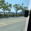 초당솔향약국 이미지