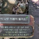 제주미즈리 이미지