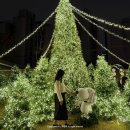 (주)바이오트리온 | 스누피 크리스마스 팝업 제이닷트리 스노이빌리지 방문 후기