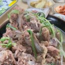 닥그네할망 - 56847 | 닥그네할망