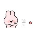 타코야미(Takoyammy) 이미지