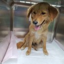 김유정로 이미지