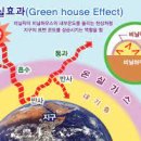 그린하우스 이펙트