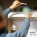 솔내음약국 | 전주바퀴벌레 퇴치을 위한 전문솔루션으로 해충방제작업실시 솔내음케어