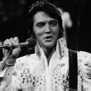 Elvis 이미지