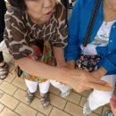 월전수산 이미지