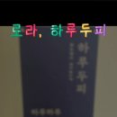 하루두피 광주첨단신창점 이미지