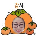 유유아로마 이미지