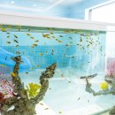 피코 울산지점 이미지