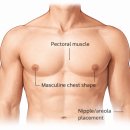 예쁜미인성형외과의원 | 예쁜미인성형외과 이장혁 대표원장 - 20년간 FTM 수술을 하며 느낀 점