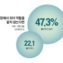 리더그래픽