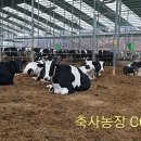 아침이레농장
