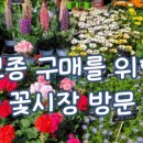 경남농약종묘사 이미지