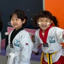 용인대 강한태권도장 이미지