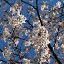 삼학로 73번길 13 | 진해 용원 보배산 참숯가마 찜질 후기, 제대로 힐링하고 왔어요