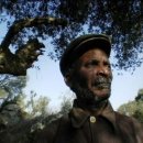 <극소항해시대: 포르투갈 비디오아트>_ Joao Tabarra, Maria Lusitano, Miguel Palma, Pedro Costa 展