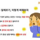 꽃가루 시기 언제까지? 꽃가루 알레르기 증상 치료 이미지