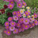 연양체육공원 이미지