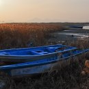 물처럼 바람처럼 이미지