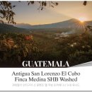 대류농장 | 빈본 홈 로스터기 BB100+ | 리뷰 1편 "첫 빈본 로스터기!!"