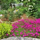 시화동보아파트 이미지