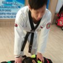 금강 태권도장 이미지