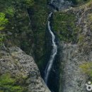 수정신흥1-D-1 이미지