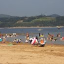 바람의언덕 이미지