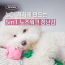 일상 스케치 속으로 | 강아지 노즈워크 장난감 도그스케치, 강아지 터그놀이 장난감 추천