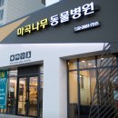 마곡나무 동물병원 이미지