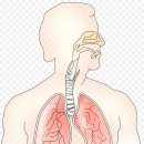 몸바른한의원 이미지