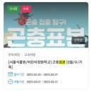 장수 공공도서관 | 곤충 표본 만들기 체험 후기 (ft. 만천곤충박물관 곤충표본교실)