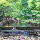 휴양림로 이미지