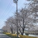 아침해마트 | 융니 쀼와 함께한 장흥 별빛밤바다 캠핑장