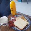더루체앤하우스 민박 티스토리