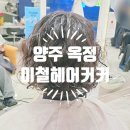 오호헤어 옥정점 | 양주 옥정 친절한 살롱 이철헤어커커 단발 빈티지펌 후기