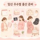 해말금식품 세종지사 | 2027년 출산 예정일 계산법, 임신 주수별 검사와 출산 준비 총정리