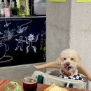 페퍼커피 이미지