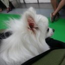 까꿍이 하우스 네이버블로그
