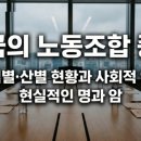 전국자동차노동조합연맹 경남지역조합 제 | 우리나라 노동조합 종류, 기업별 산별 차이점과 사회적 인식의 명과 암